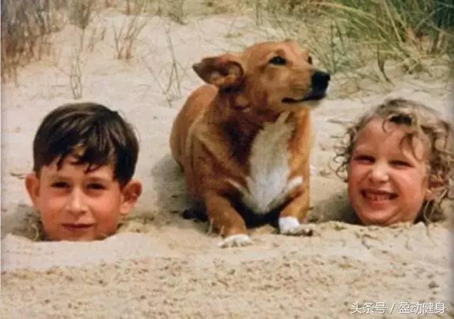 14岁贝克汉姆,14岁贝克汉姆的儿子