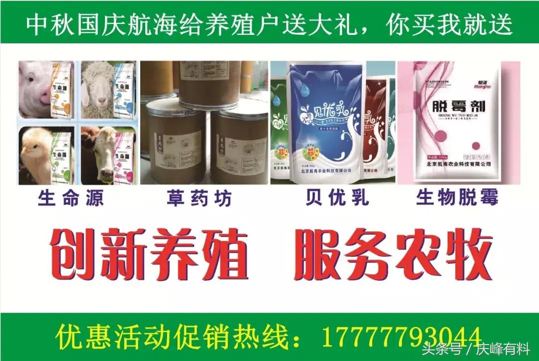 判断母牛生产成功的最佳方法,养牛最佳观察方法