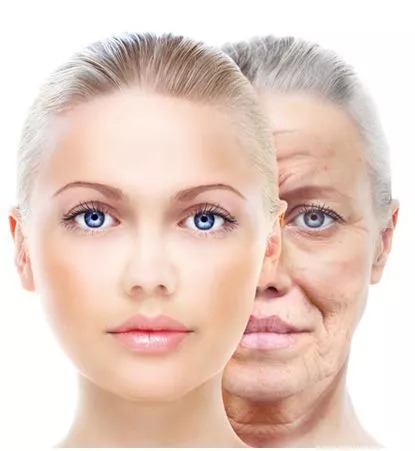 护肤成分大揭秘丨抗衰王牌阿魏酸