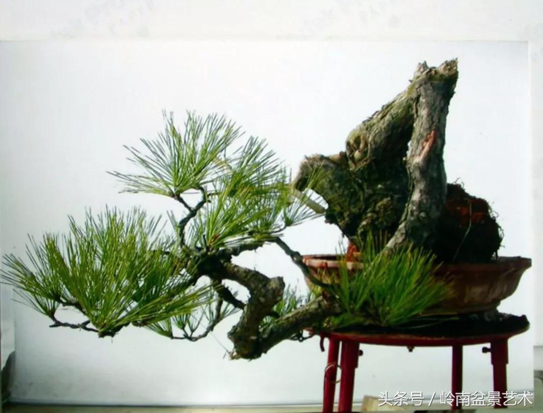 神来之笔绘画作品欣赏,神来之笔书法作品大全