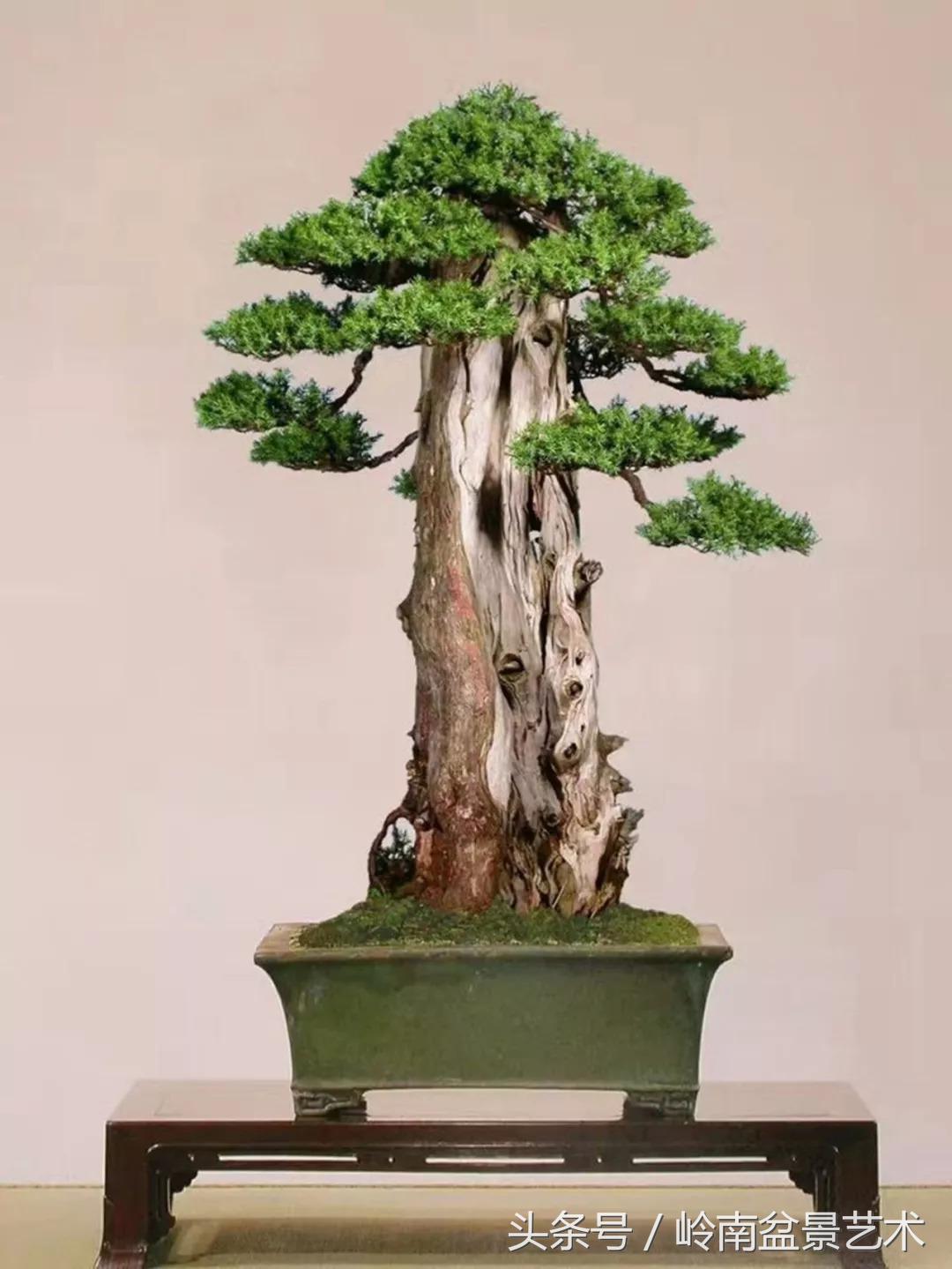 神来之笔绘画作品欣赏,神来之笔书法作品大全