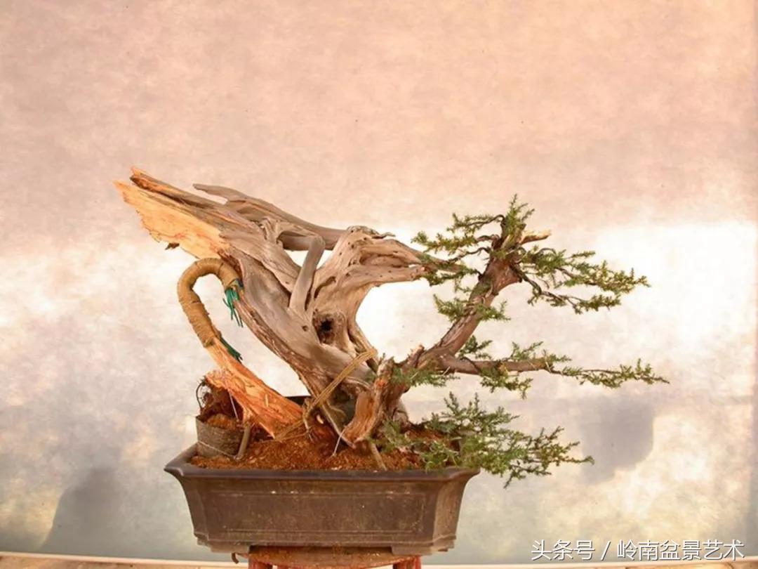 神来之笔绘画作品欣赏,神来之笔书法作品大全