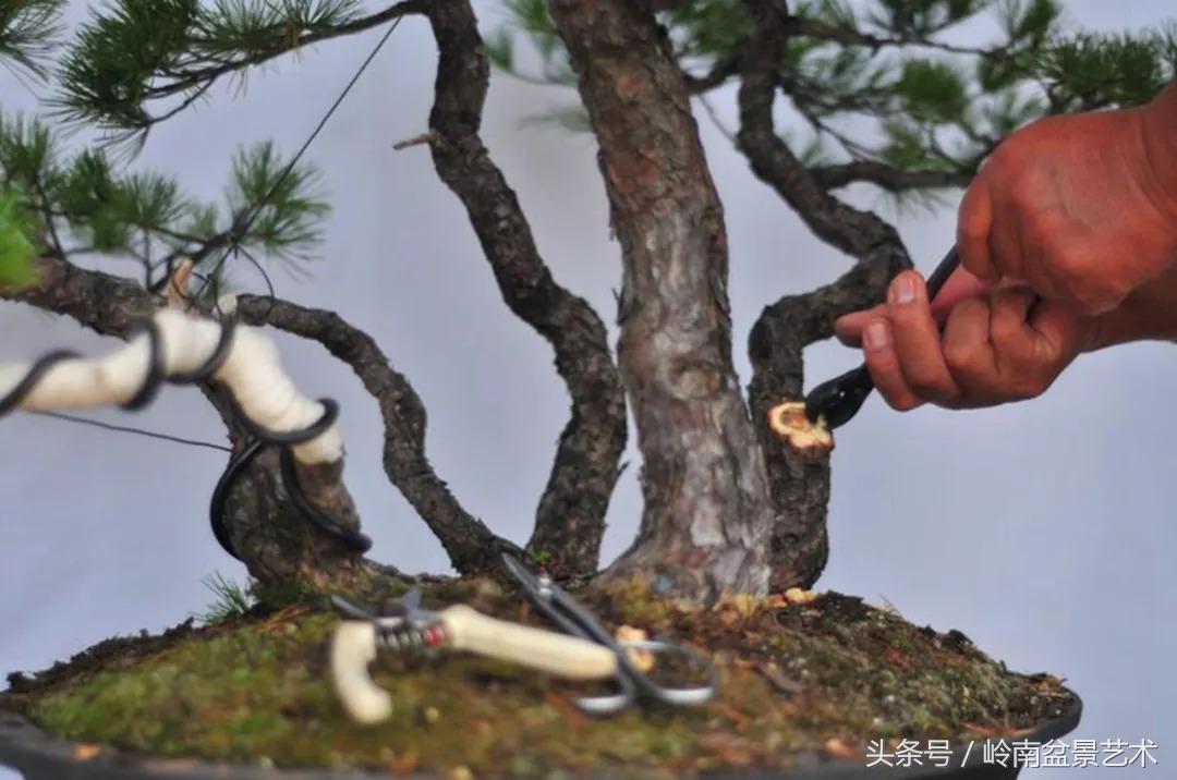 神来之笔绘画作品欣赏,神来之笔书法作品大全