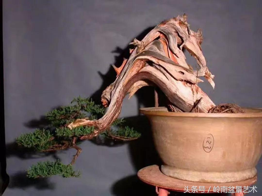 神来之笔绘画作品欣赏,神来之笔书法作品大全