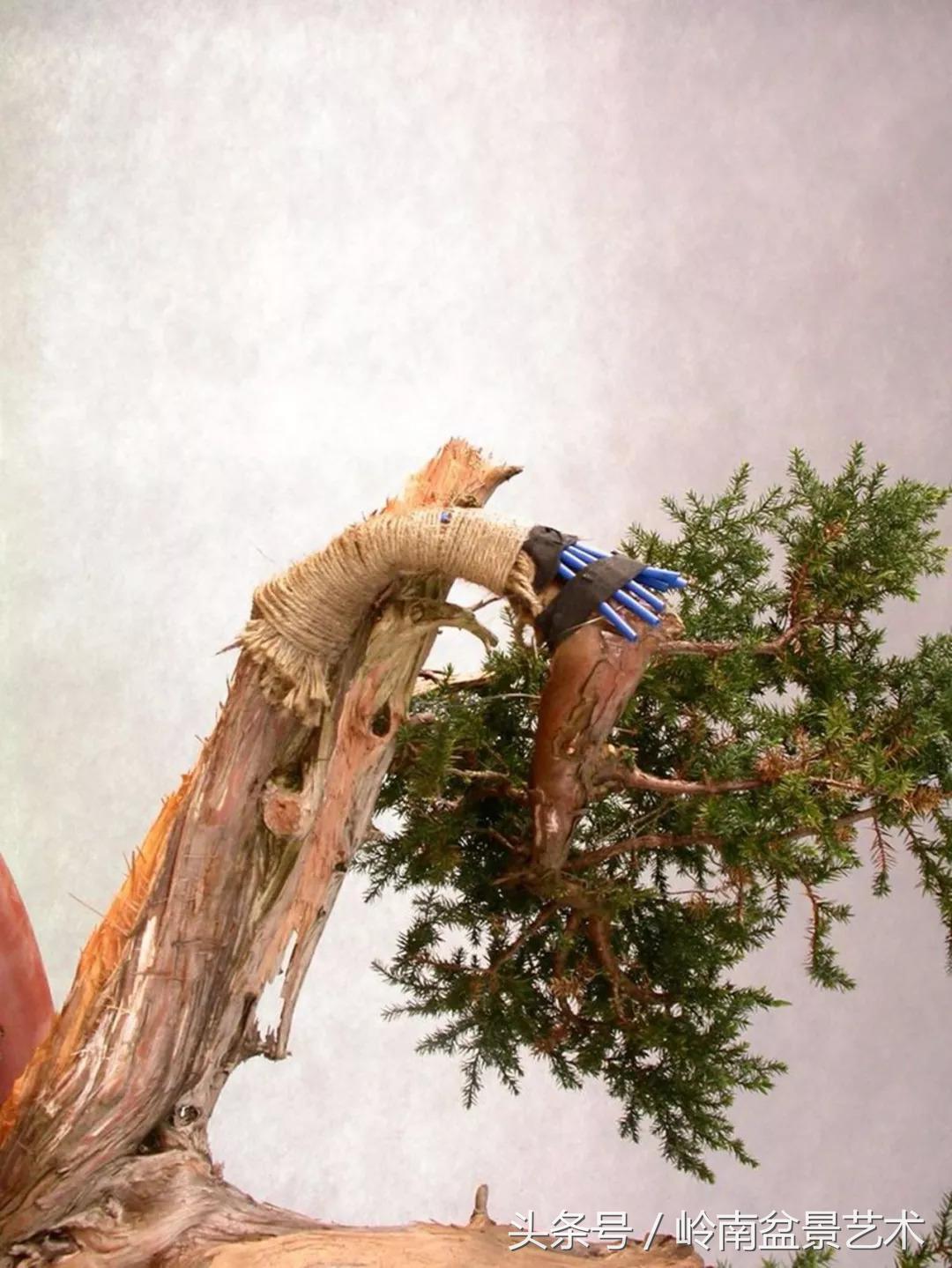 神来之笔绘画作品欣赏,神来之笔书法作品大全