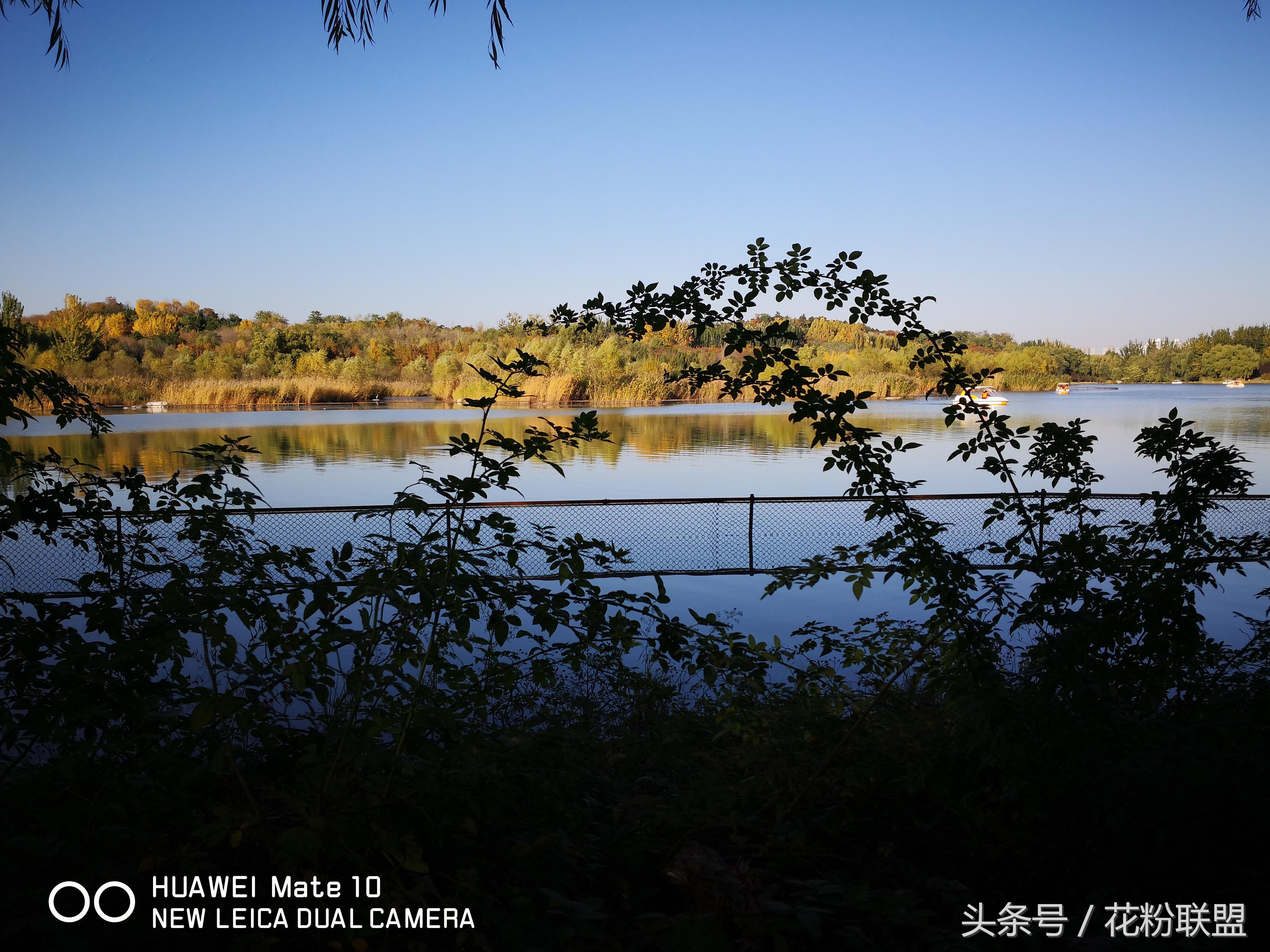 拍照水印哪个好用,照片水印哪个品牌先用