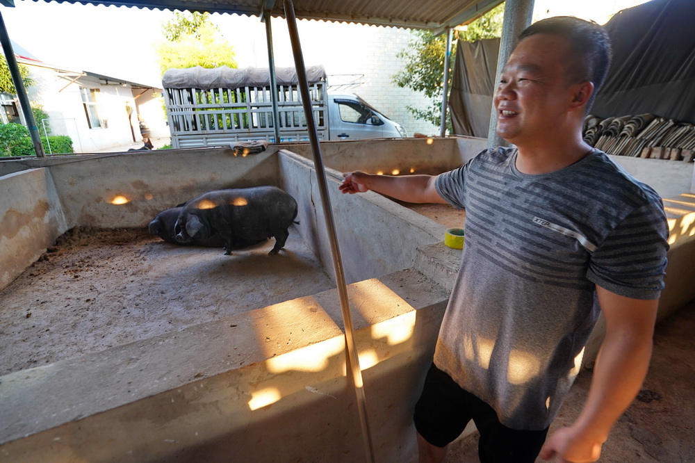 跟乡下大哥游建水完美攻略，不一样的感觉和体会：原来临安这么美