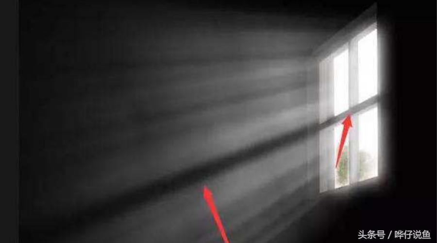 鱼缸飘荡的那些毛毛是什么东西？送你一个好办法，将它们一扫而光