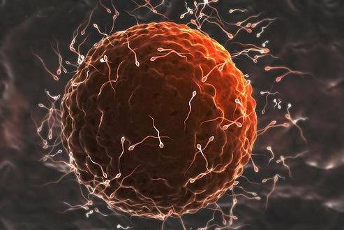 坊间生男孩生女孩的8个传闻，我们来辨别哪些是真哪些是假？