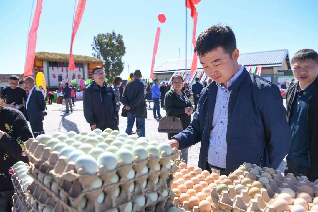现场太火爆！看东胜区折家梁村如何庆丰收！