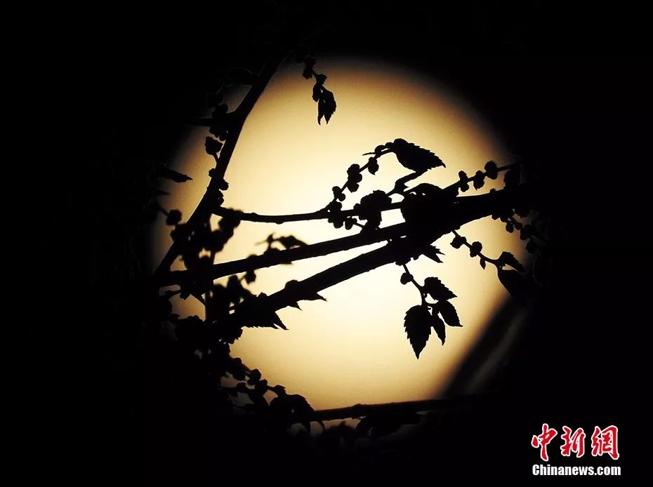 一年又到中秋日,与君共此时!福州中秋难赏月?这份拍摄秘籍要掌握!