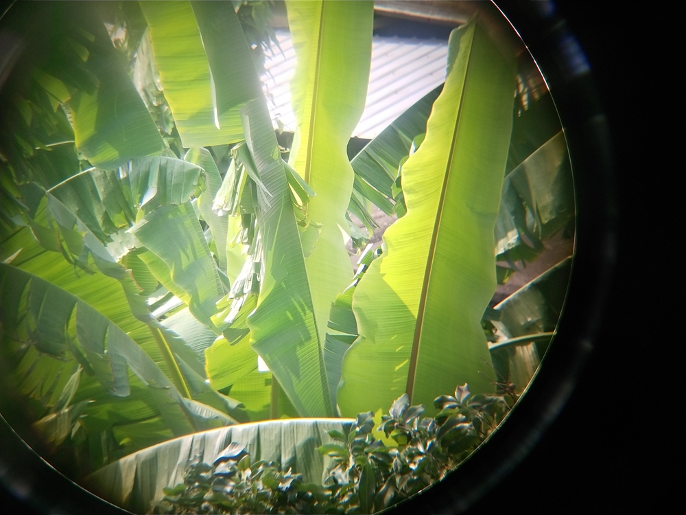 双筒望远镜对比测评,昼夜两用双筒望远镜测评