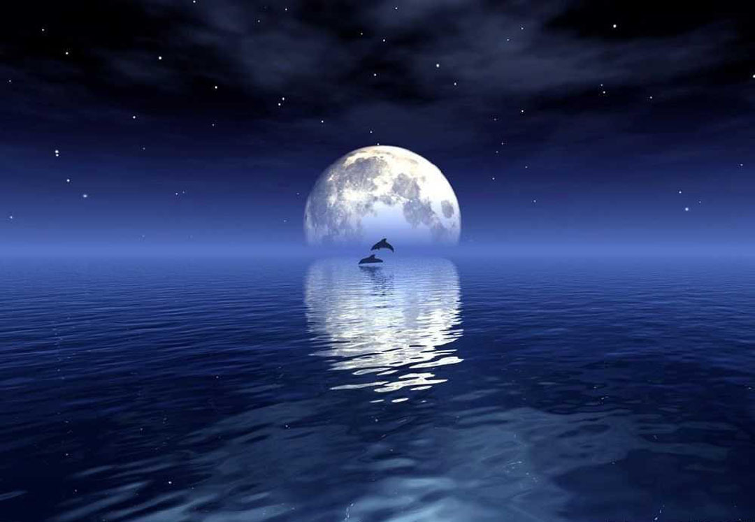 苏轼水调歌头最出名的一句,苏轼著名的水调歌头