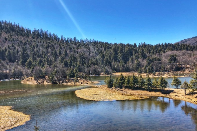 云南八日：看我家帅气小哥哥如何拍照？网友：花痴也要有限度