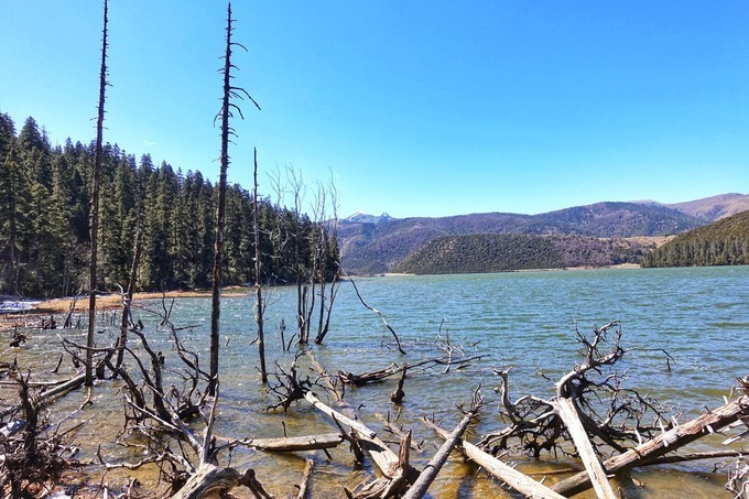 云南八日：看我家帅气小哥哥如何拍照？网友：花痴也要有限度