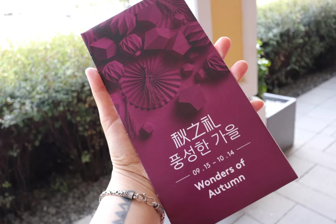 全世界网红打卡地点,全世界网红攻略