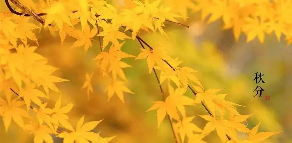 一年又到中秋日,与君共此时!福州中秋难赏月?这份拍摄秘籍要掌握!