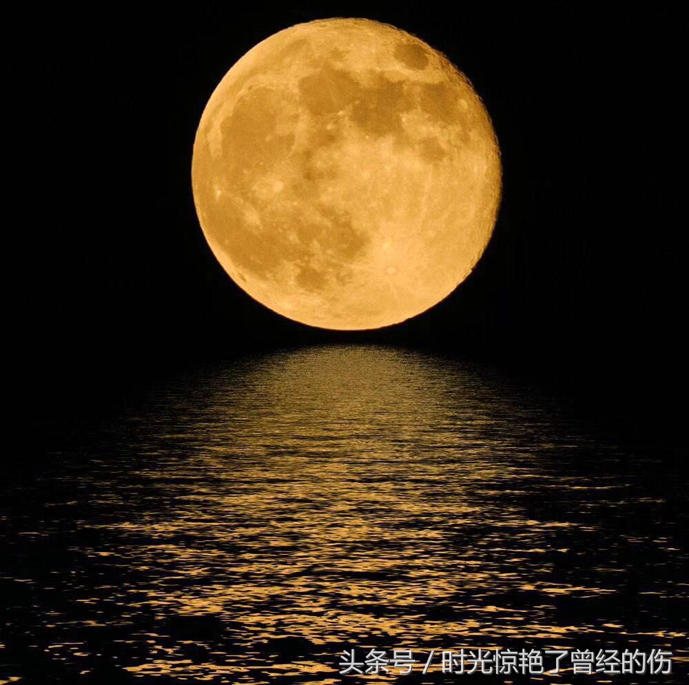 皎洁的圆月纯清如水，赋予人们吉祥与期盼在清馨的月光下，我邀