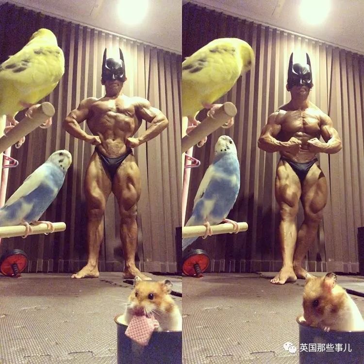 捧着仓鼠晒肌肉……这位“杀手”大叔的画风真是健身界的一股清流
