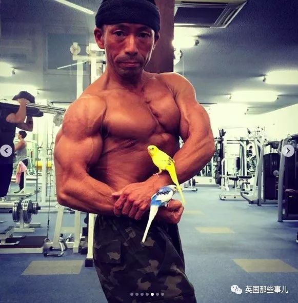 捧着仓鼠晒肌肉……这位“杀手”大叔的画风真是健身界的一股清流