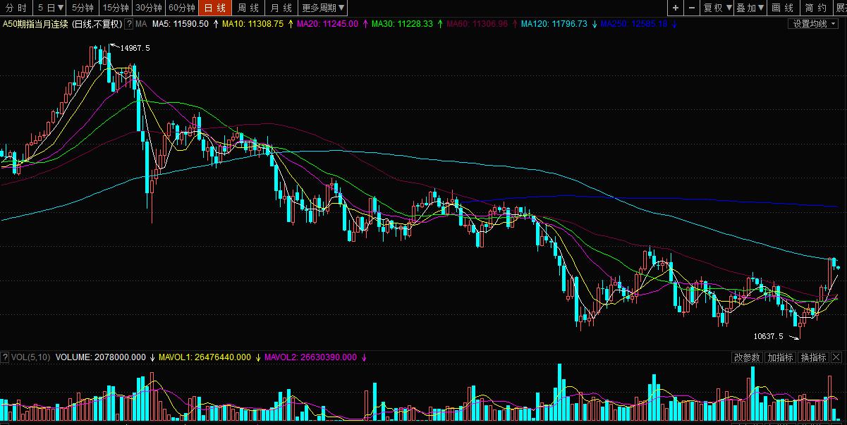 小龙早参怎么样,小龙早参什么时候上市