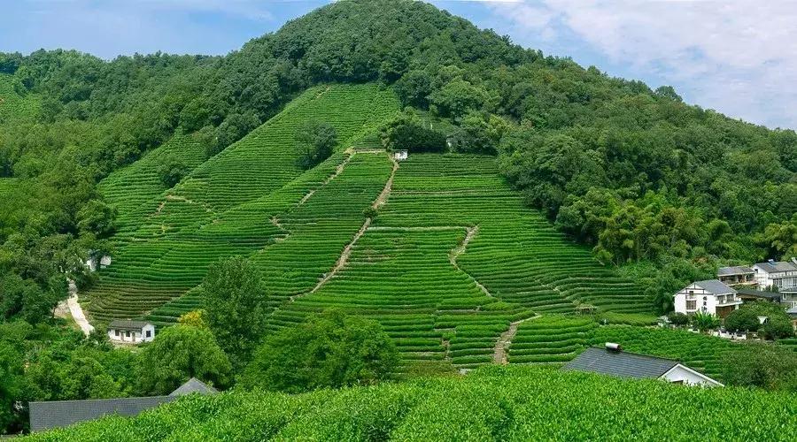 杭州中秋花式赏月,杭州中秋赏月去处