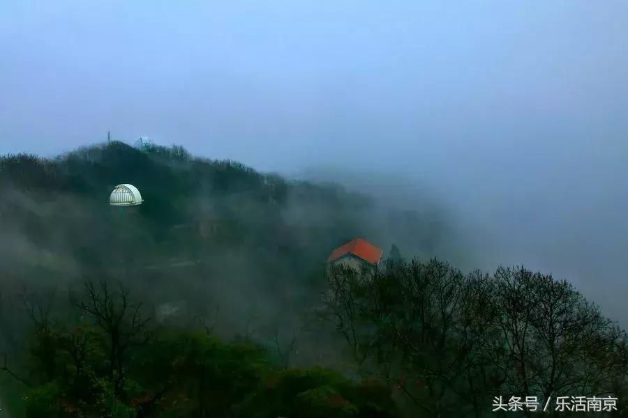 南京紫金山各大景区,南京旅游景点人少看紫金山