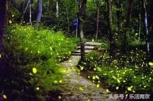 南京紫金山各大景区,南京旅游景点人少看紫金山