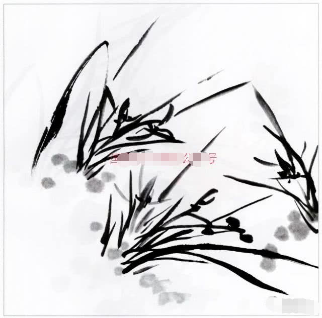 国画兰花的花头的画法,国画兰花画法小视频