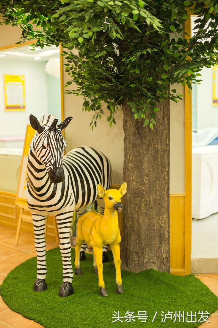 又想骗我生猴子？泸州儿童摄影高萌来袭！