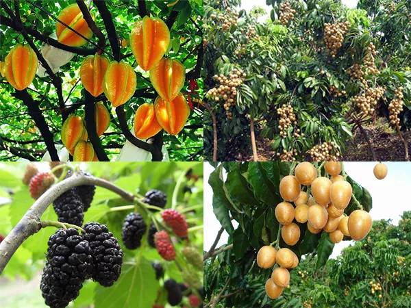 农秀才：农业农村部推荐100个休闲农业和乡村旅游精品景点线路