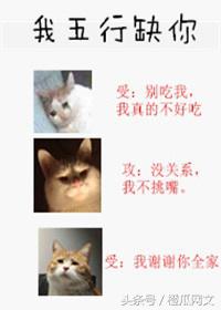 女生喜欢看男频小说吗,女孩子基本上都喜欢看什么小说