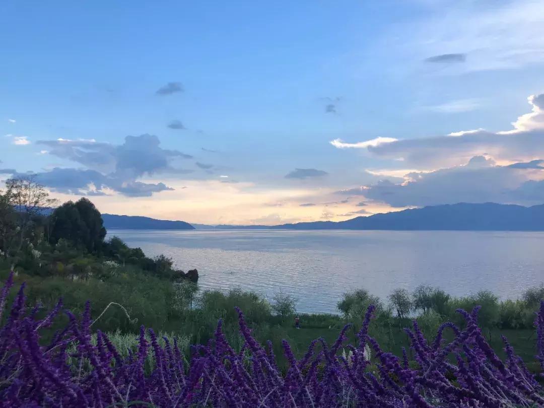 福特新一代福克斯试驾视频,福特新一代福克斯2020款评价