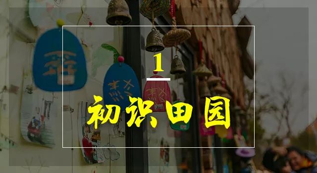 无锡阳山田园风光,无锡阳山东方田园游记