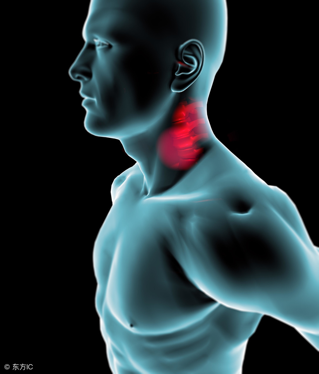 一觉醒来脖子僵得不能动,一觉醒来脖子全是汗怎么回事