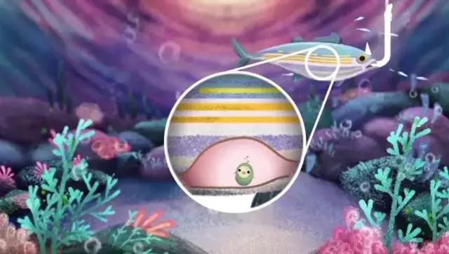 怎样更好的选择dha,如何正确选择一款适合宝宝的dha呢