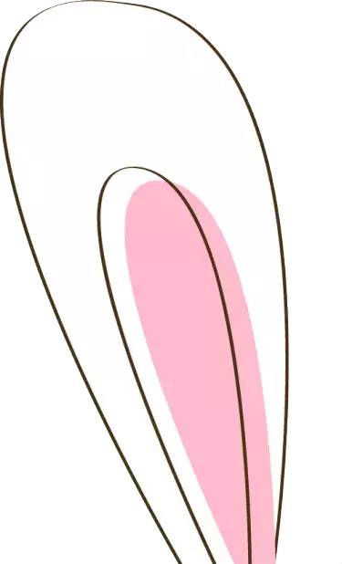 「关注」橄榄球、棒球、踢踏舞？这样的特色体育你喜欢吗？我市这个区已成为首批全国试点