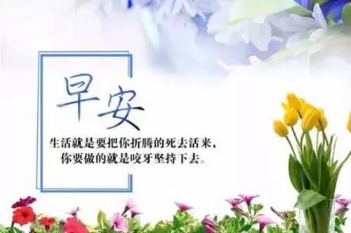 早安心灵鸡汤励志语录正能量短句,早安心灵鸡汤人生感悟正能量短句