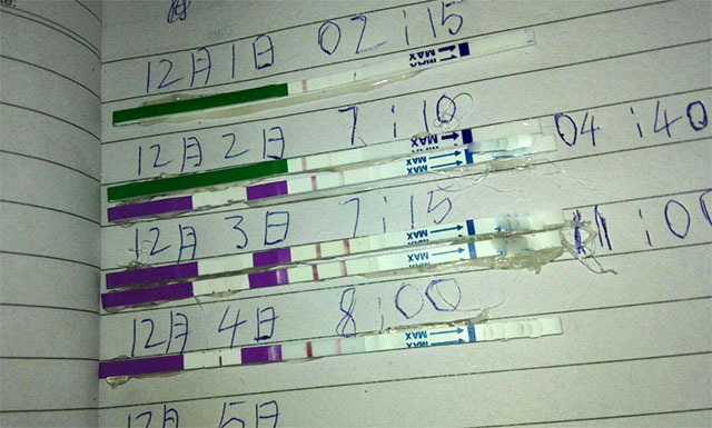 月经40天的女人怎么计算排卵期,经期不准经常推迟怎么计算排卵期