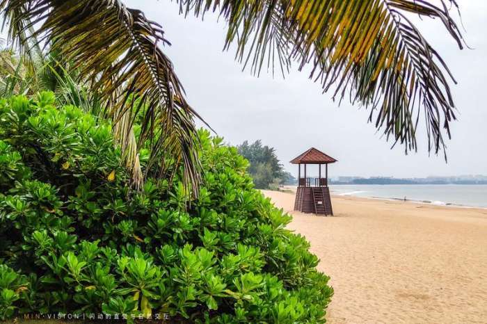 三亚海棠湾酒店推荐经济实惠,三亚海棠湾万丽酒店攻略