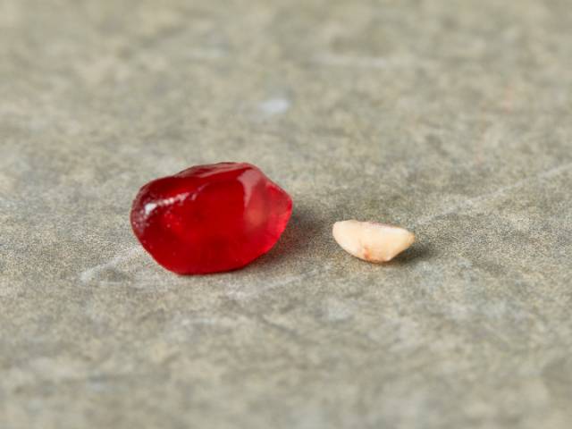 头茬正宗突尼斯软籽石榴,石榴突尼斯软籽石榴黑珍珠