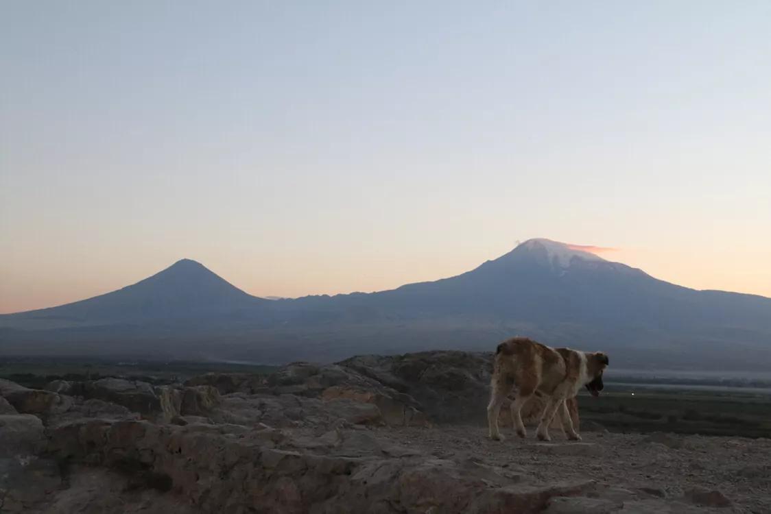 土耳其亚拉腊雪山下的亚美尼亚“深坑”修道院（霍瑞维拉修道院）