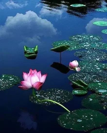 「诗词原创」西沉|路远秋已至沧海化田桑