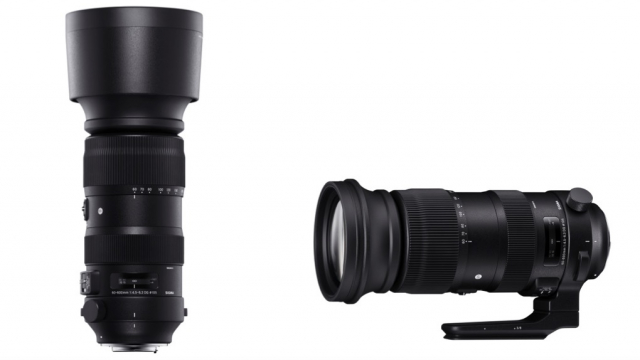 适马60-600和150-600镜头对比,适马50-100mmf1.8人像镜头价格