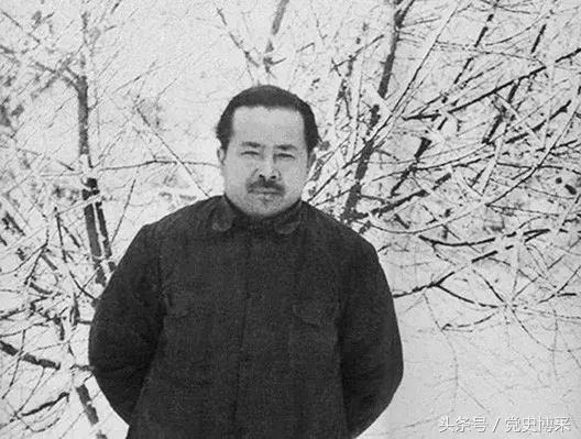 *共中***党**史上并不多见：任弼时的一篇个人报告替代了中央决议