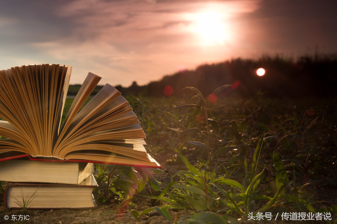 昆虫记读后感300字的四年级,昆虫记读后感600字中学