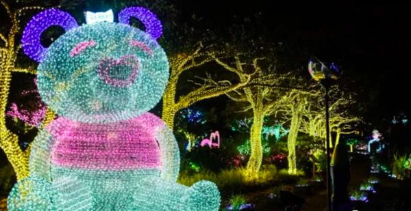 济州岛一年往返12次,到济州岛旅行行程