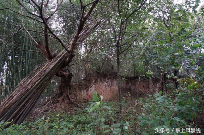 关公父子是怎么遇害的,关公败走麦城如何被杀