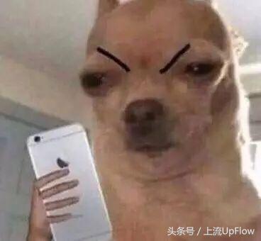 小时候没家长群,怀念没家长群的日子