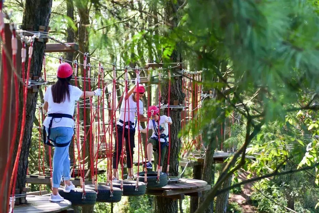 徽州黄山古村落民宿,黄山值得住的古村落